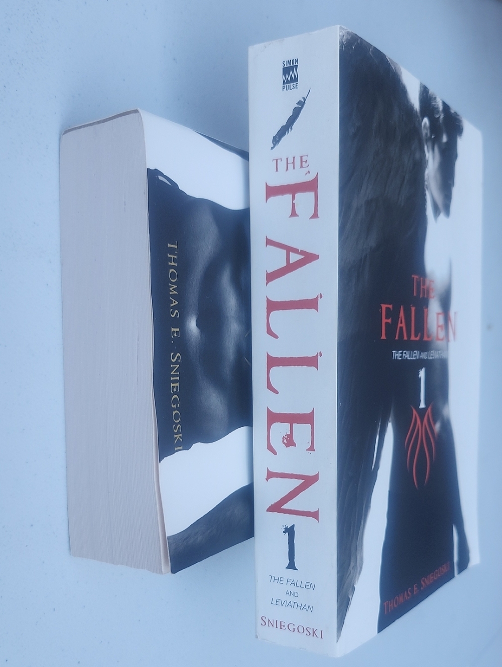 The Fallen Book Set - Picture 3 of 5